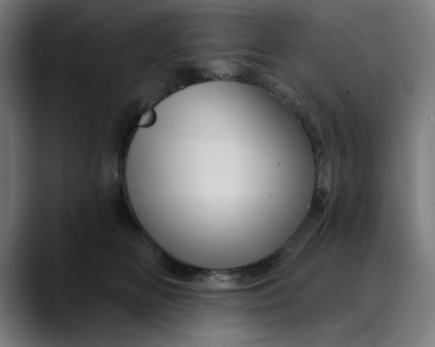 X0000089700518200707121356