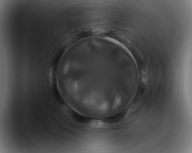 X0000089700519200707121356