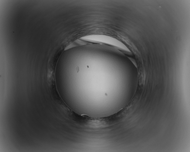 X0000089700521200707121356