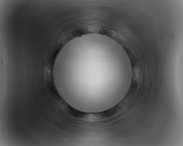 X0000089700522200707121356