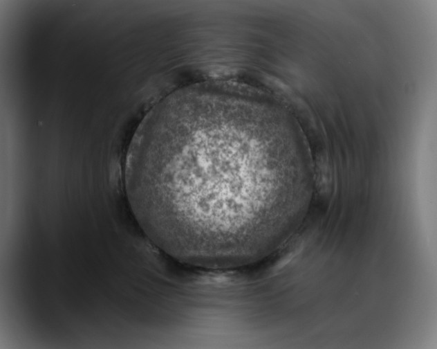 X0000089700523200707121356