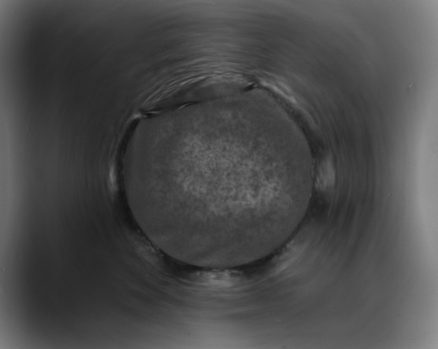 X0000089700524200707121356