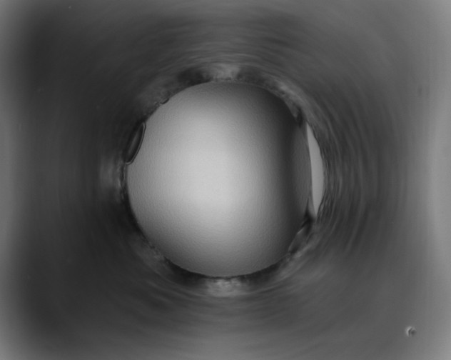 X0000089700525200707121356