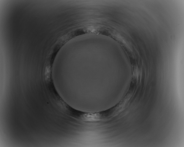 X0000089700526200707121356