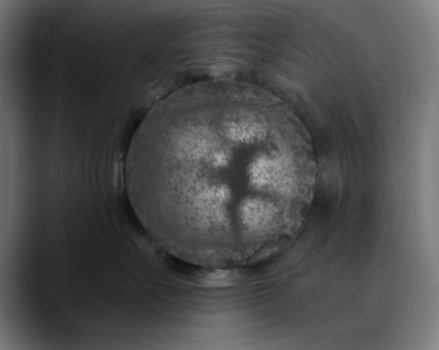 X0000089700527200707121356