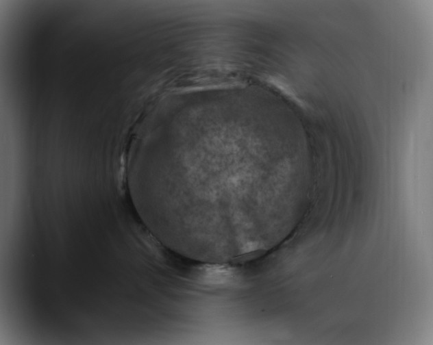 X0000089700528200707121356