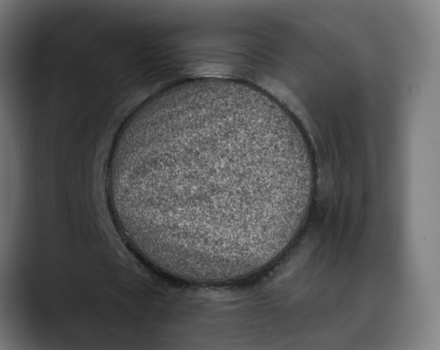 X0000089700529200707121355