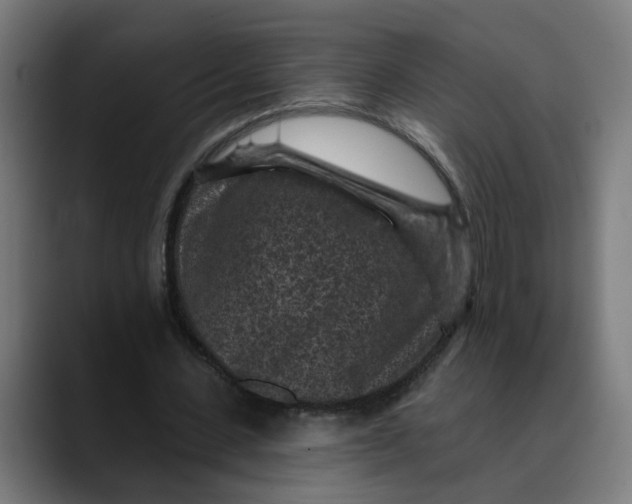 X0000089700531200707121355