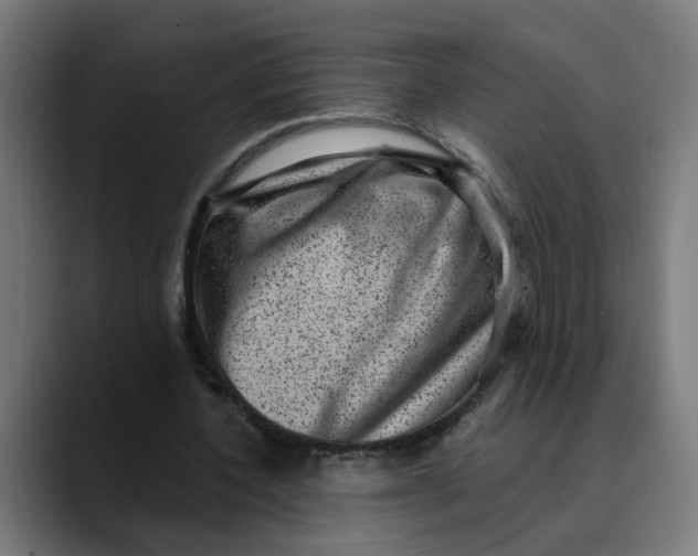 X0000089700532200707121356