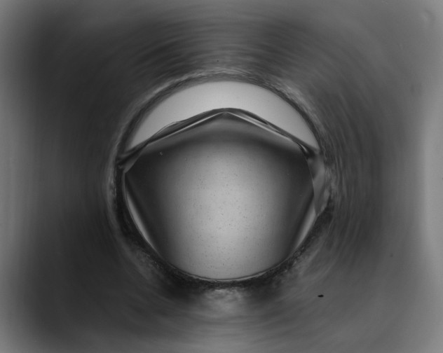 X0000089700536200707121356