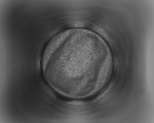 X0000089700537200707121356