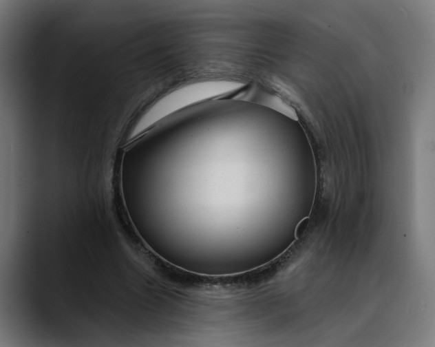 X0000089700538200707121356