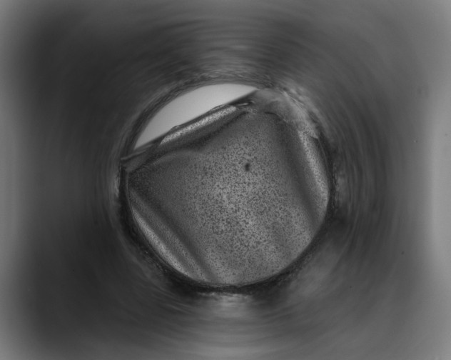 X0000089700539200707121356