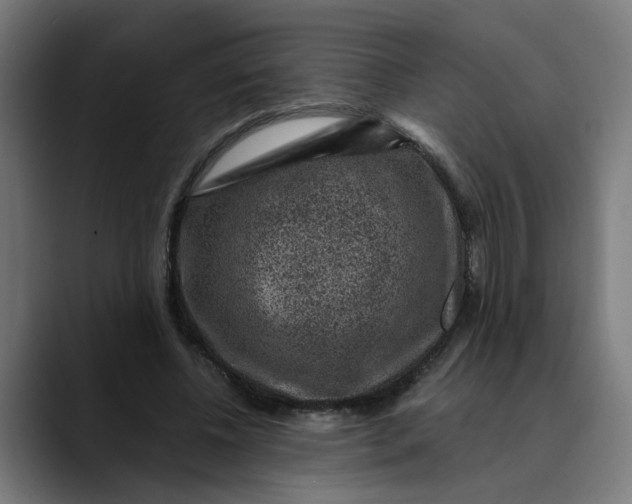 X0000089700540200707121356