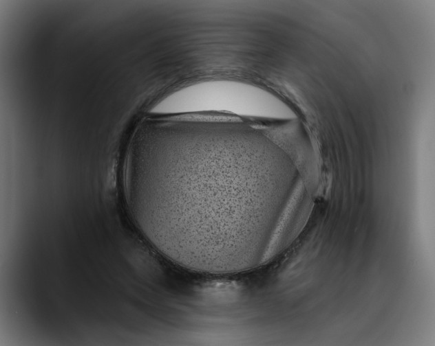 X0000089700543200707121356