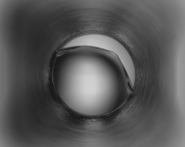 X0000089700544200707121356