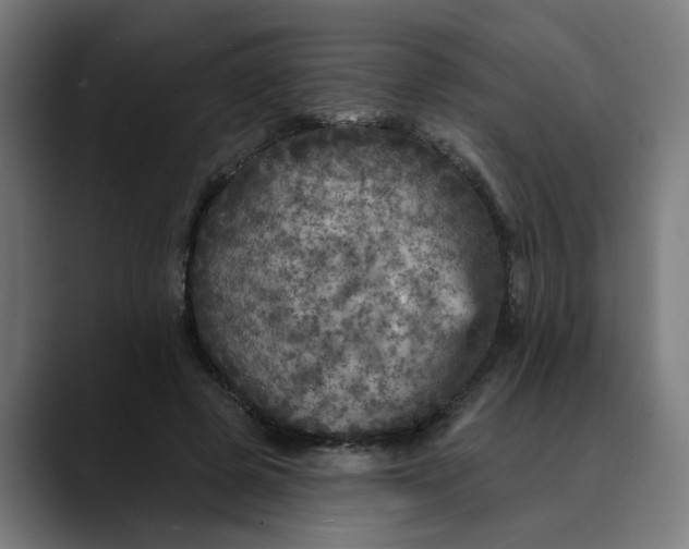 X0000089700545200707121356