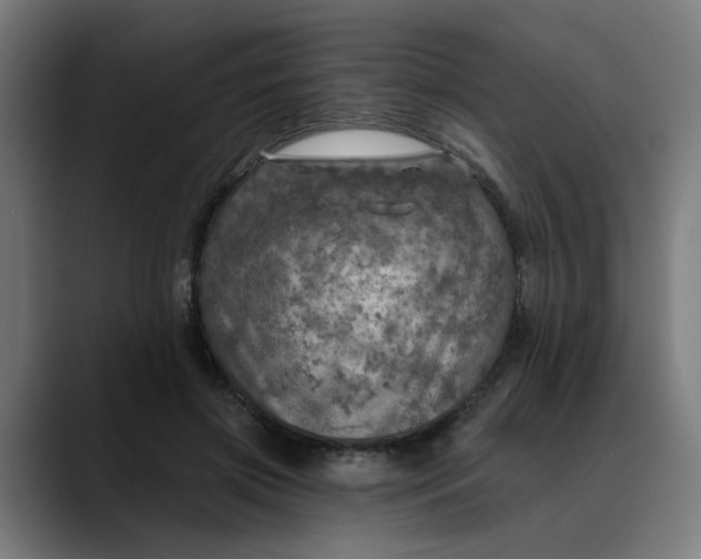 X0000089700549200707121356