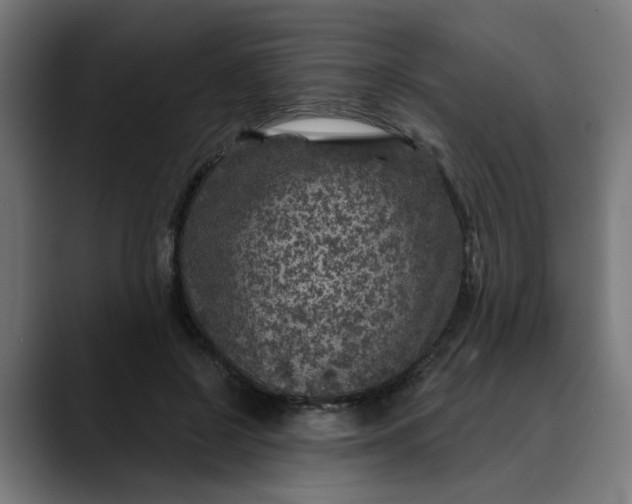 X0000089700550200707121356