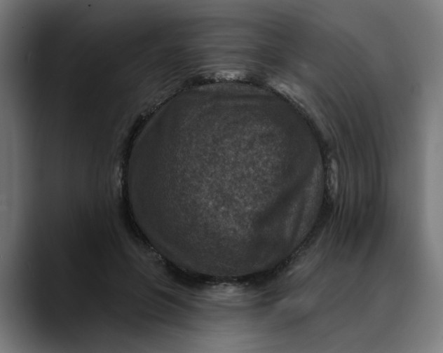 X0000089700551200707121356