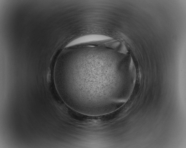 X0000089700552200707121356