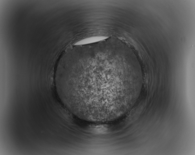 X0000089700553200707121356