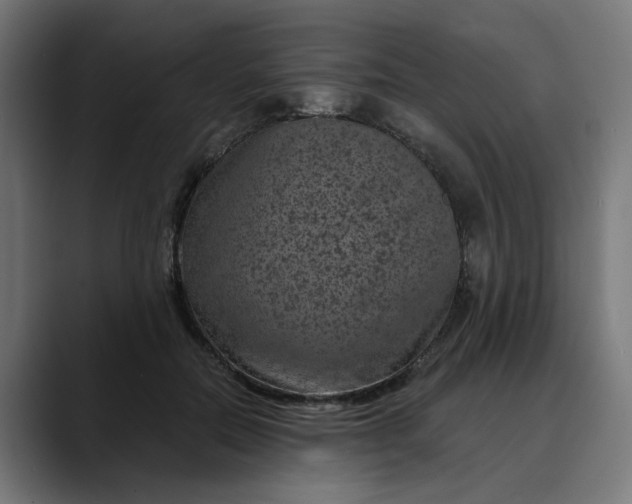 X0000089700554200707121356