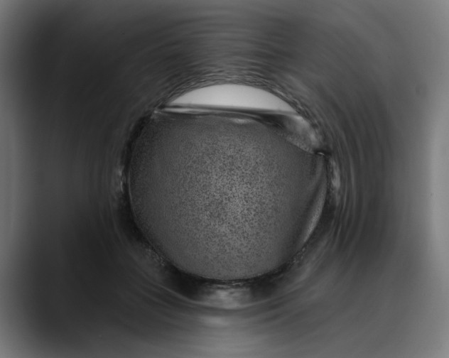 X0000089700555200707121356