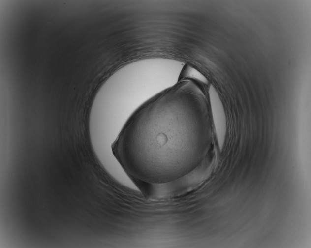 X0000089700556200707121356