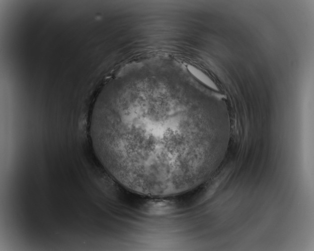 X0000089700557200707121356