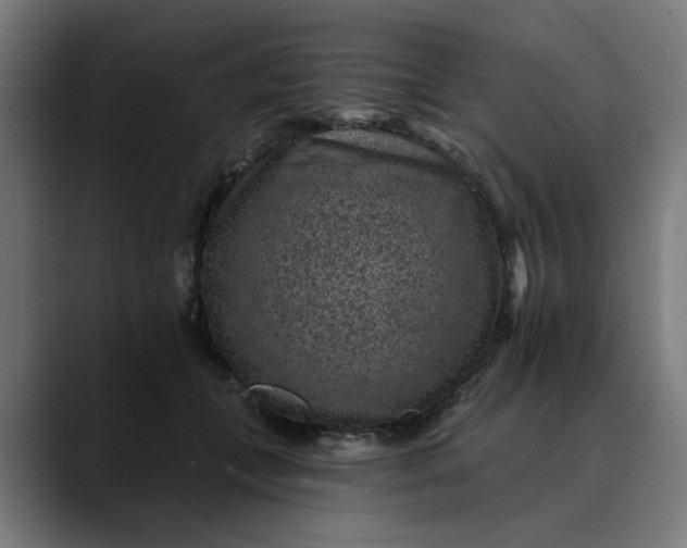 X0000089700559200707121356