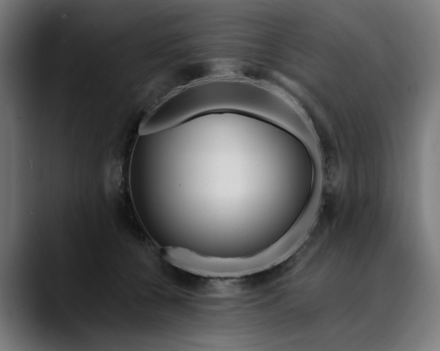 X0000089700560200707121356