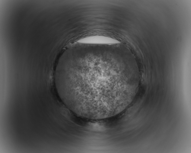 X0000089700561200707121356