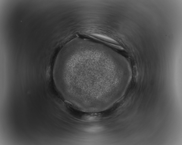 X0000089700563200707121356