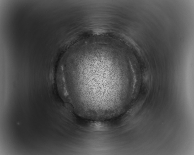 X0000089700565200707121356