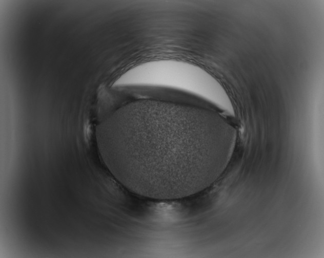 X0000089700566200707121356