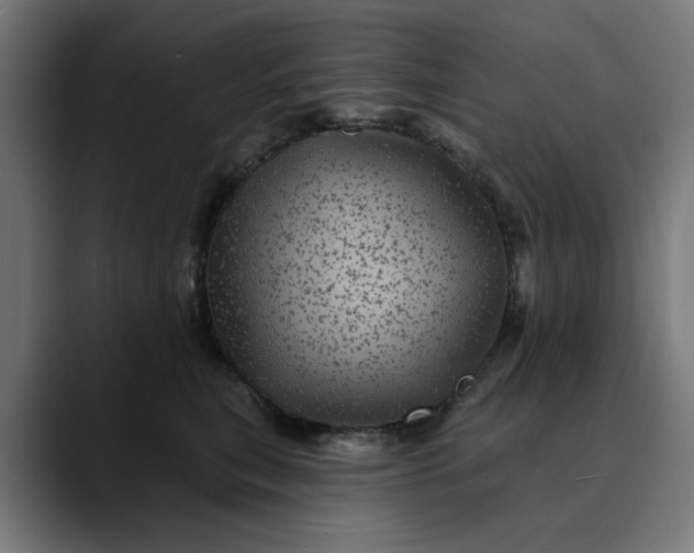 X0000089700567200707121356