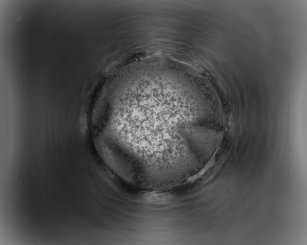 X0000089700568200707121356