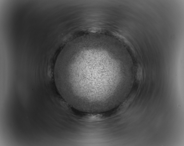 X0000089700569200707121356