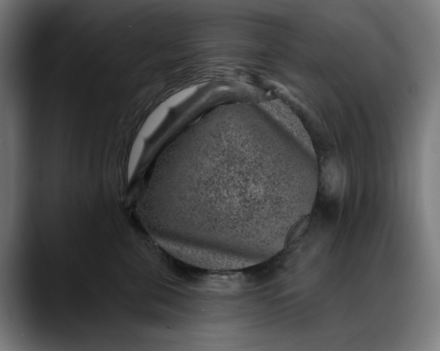 X0000089700571200707121356