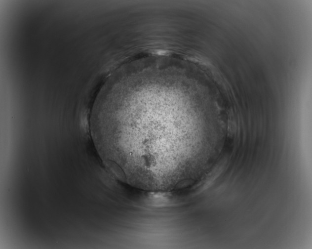 X0000089700573200707121356