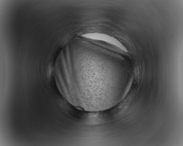 X0000089700574200707121356