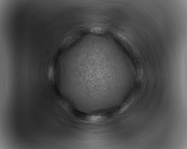 X0000089700575200707121356