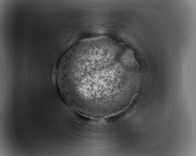 X0000089700576200707121356