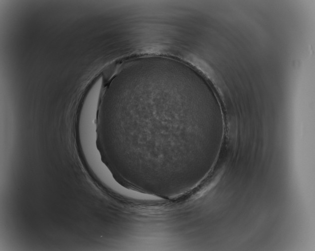 X0000089700577200707121355