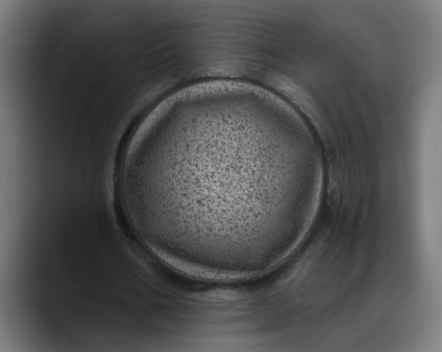 X0000089700578200707121355