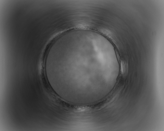 X0000089700579200707121355