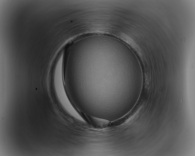 X0000089700580200707121355