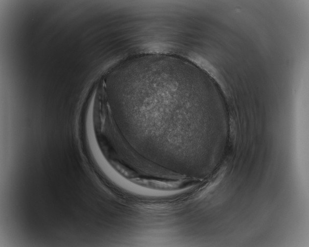 X0000089700581200707121355