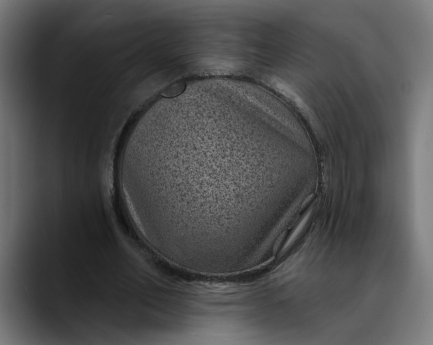 X0000089700582200707121355